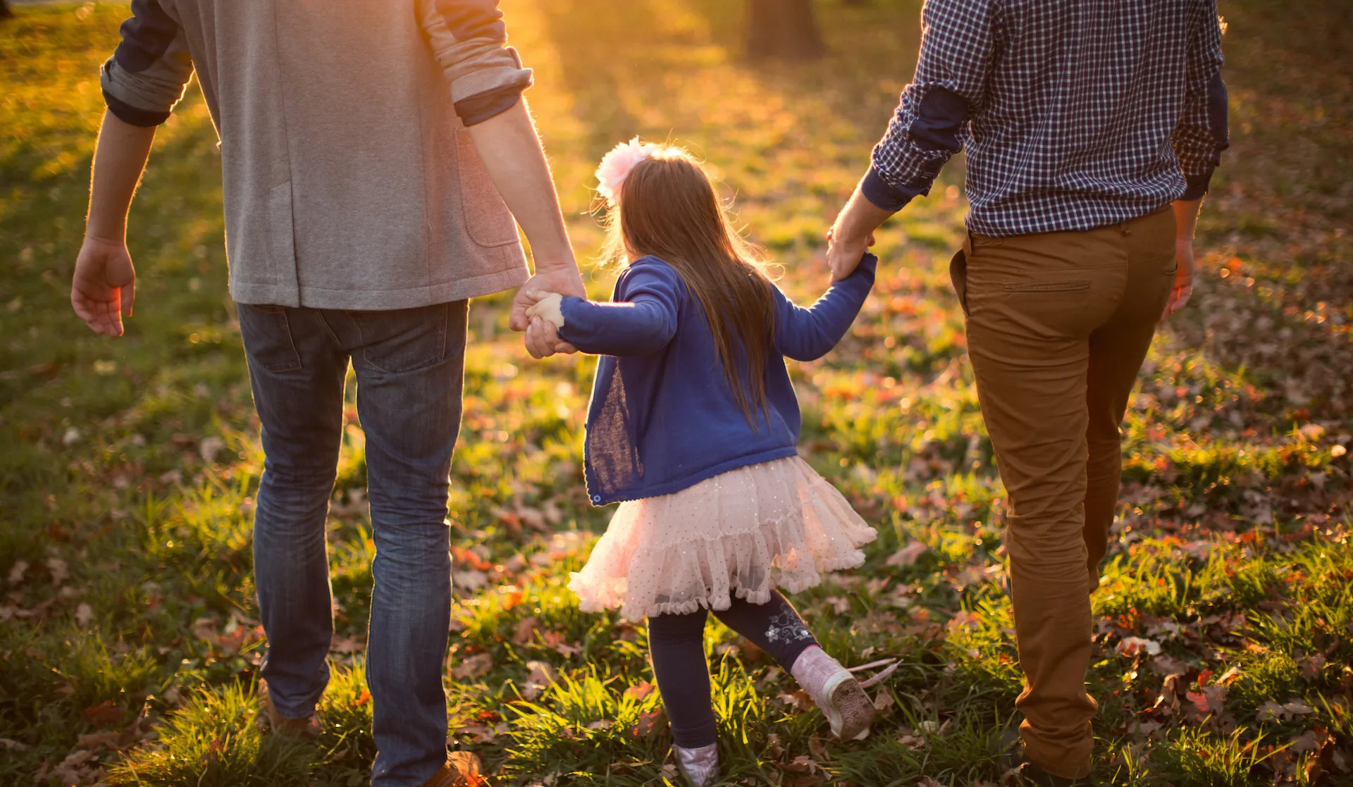 Understanding JTLife